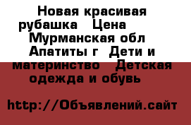 Новая красивая рубашка › Цена ­ 350 - Мурманская обл., Апатиты г. Дети и материнство » Детская одежда и обувь   